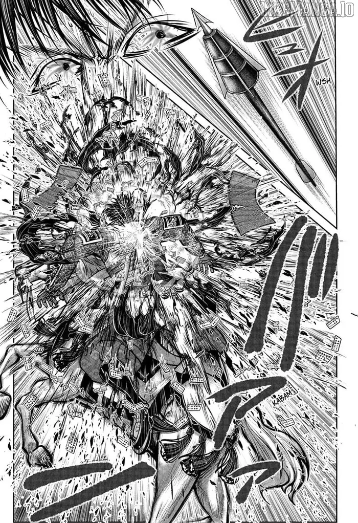 The Elusive Samurai Chapter 219 image 15_optimized